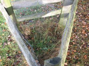 Greenwich Meridian Marker; England; Essex; Gilwell Park